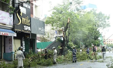 Thừa Thiên Huế: Bão số 5 khiến 1 người thiệt mạng, 23 người bị thương, hàng ngàn nhà tốc mái